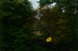 20161019herfstfoto_uitwerkkamer